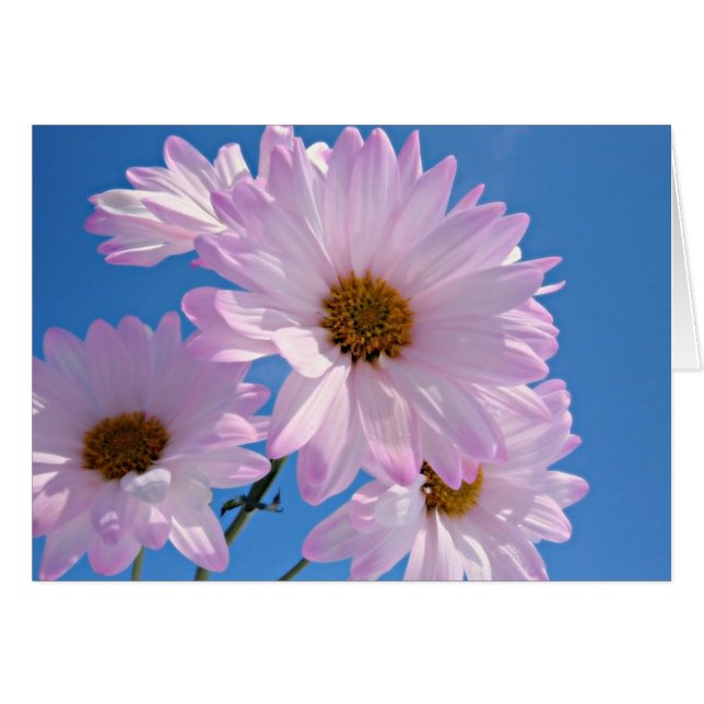 Flores de la primavera (Anverso (Horizontal))