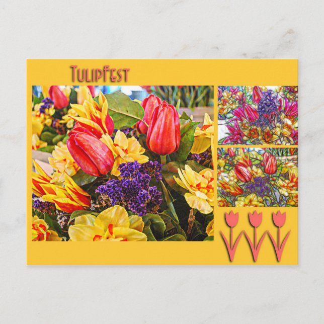 Flores de la primavera de la postal del tulipán de (Anverso)
