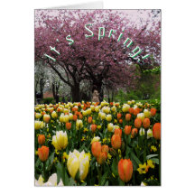 Flores de la primavera y texto del personalizado