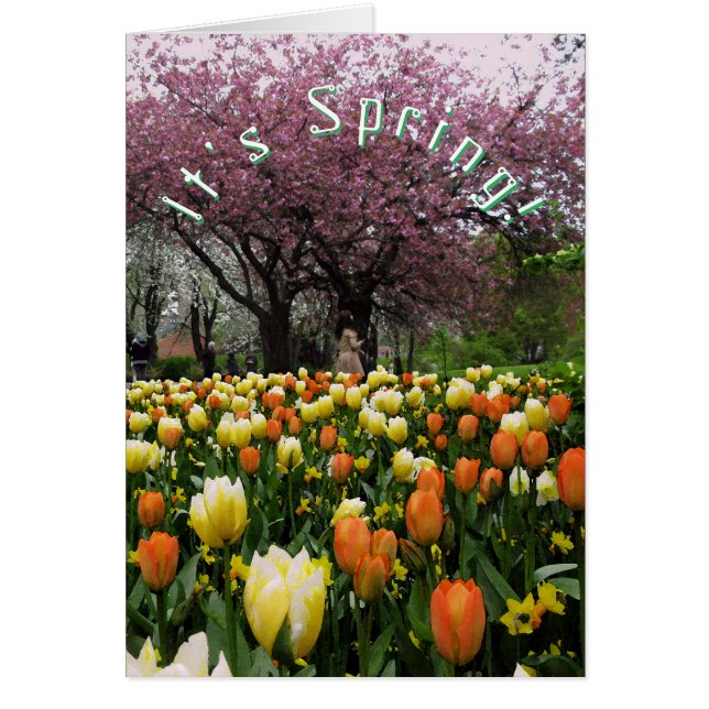 Flores de la primavera y texto del personalizado (Frente)