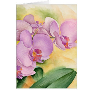 Flores de la púrpura del rosa de las orquídeas d