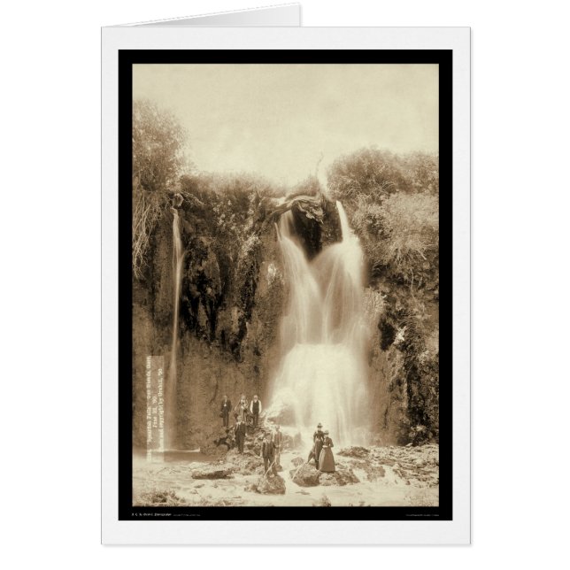 Flores de langosta en Black Hills Dakota del Sur 1 (Frente)