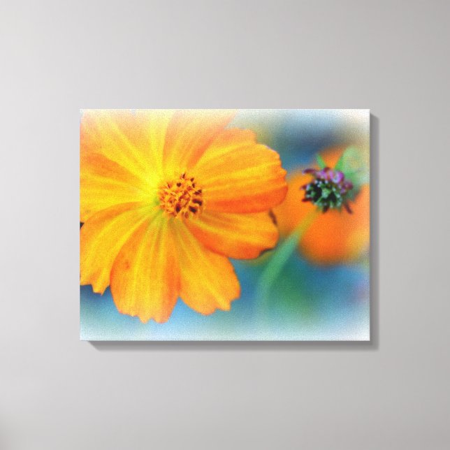 Flores de lienzo enrollado (brillante) premium (Anverso)