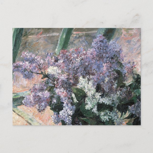 Flores de Lilac en una postal Bella Artes de venta (Anverso)