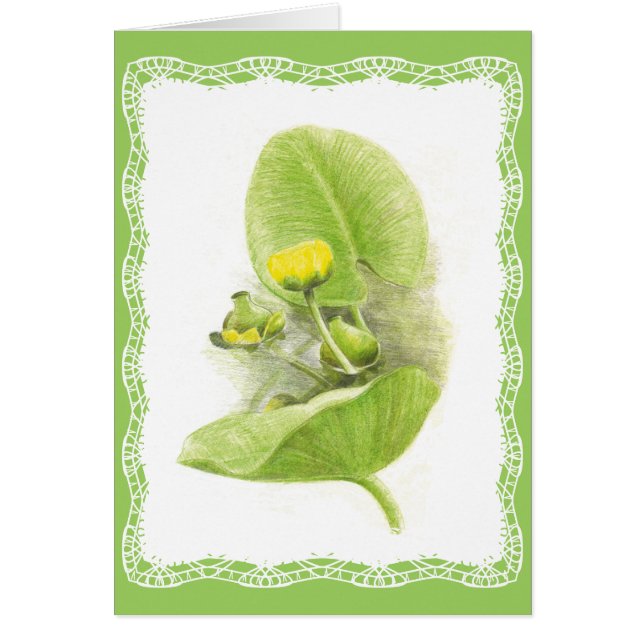 Flores de lirios (Frente)