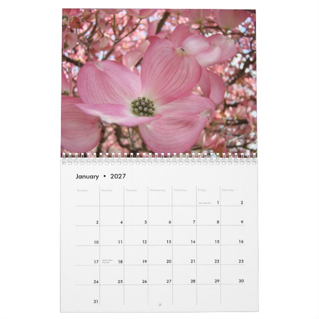 Flores de los regalos del calendario de los (Jan 2027)