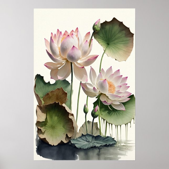 Flores de Loto Blanco Arte Impreso Póster (Frente)