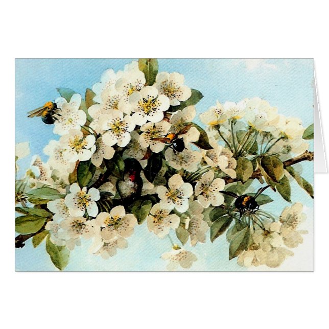 Flores de manzana antiguas (Anverso (Horizontal))