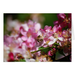 Flores de manzana y abeja de miel