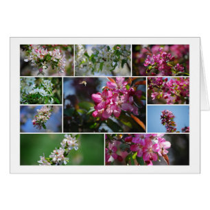 Flores de manzana y abejas melíferas