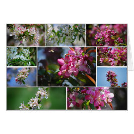 Flores de manzana y abejas melíferas