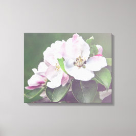 Flores de manzano en lienzo para pared de primaver