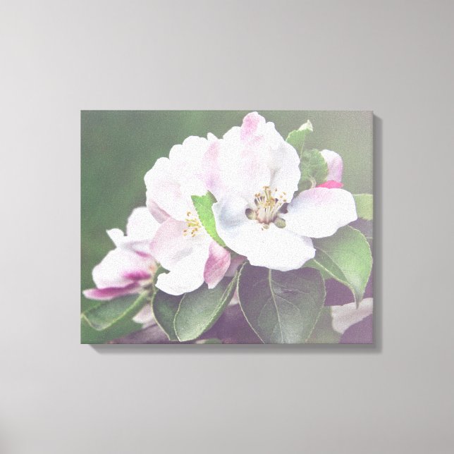 Flores de manzano en lienzo para pared de primaver (Anverso)