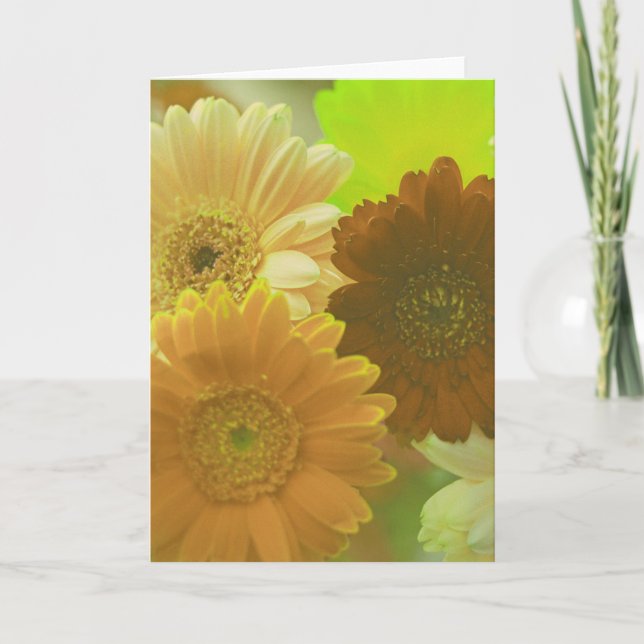 Flores de margarita amarilla foto nota o tarjetas  (Anverso)