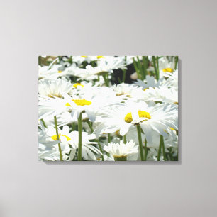 Flores de margarita arte decorativo Lienzo Fotogra