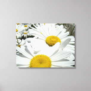 Flores de margarita blanca estampados de arte de j