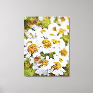 Flores de margarita blanca - tela envuelta de arte