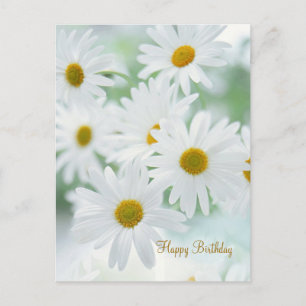 Flores de margarita - Postales de cumpleaños