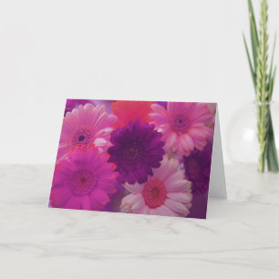 Flores de margarita rosada Nota de foto o tarjeta 