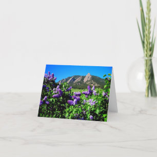 Flores de montaña de primavera