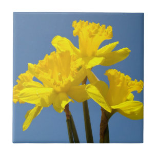 Flores de Narciso Amarillo Arte en Baldosa Narciso