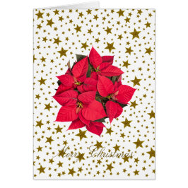 Flores de Navidades rojos y estrellas doradas bril