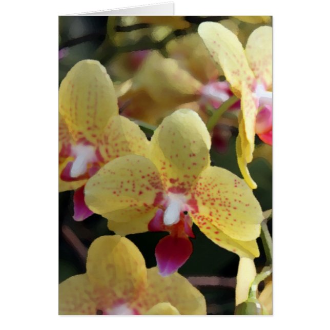 Flores de orquídea amarillas (Frente)