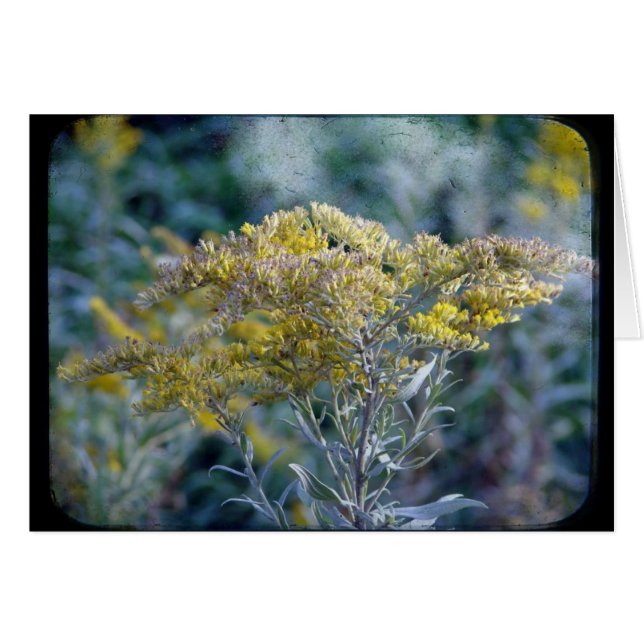Flores de otoño (Anverso (Horizontal))