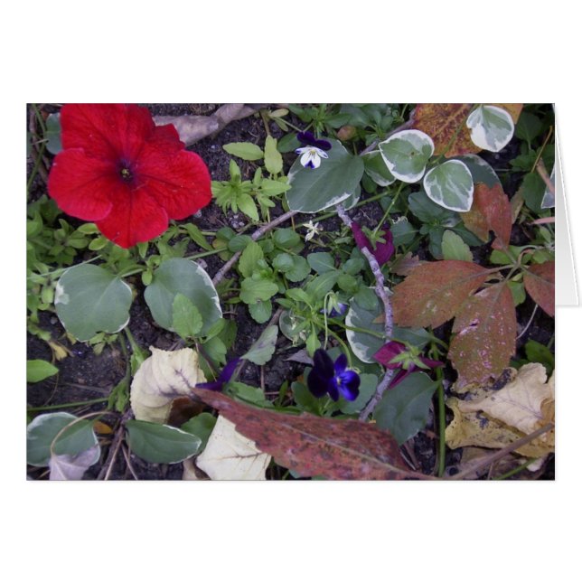 Flores de otoño (Anverso (Horizontal))