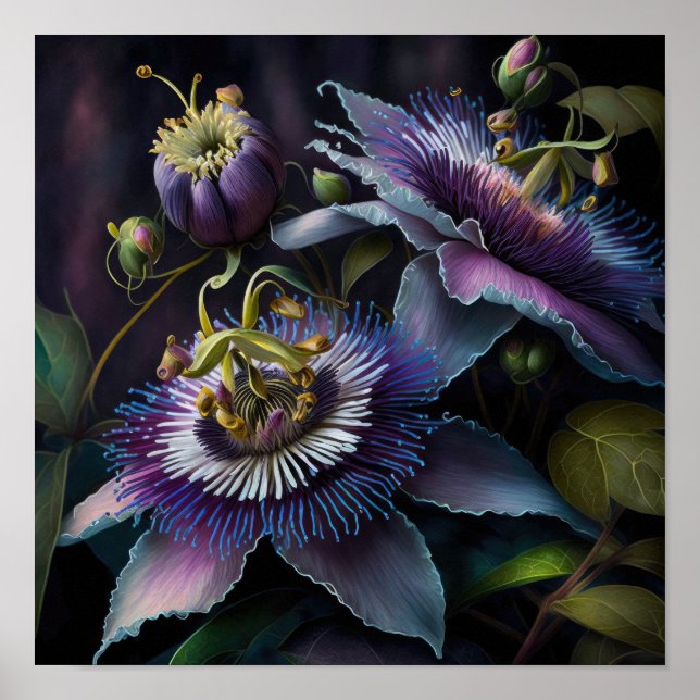 Flores de pasión morada Poster de impresión de art (Frente)
