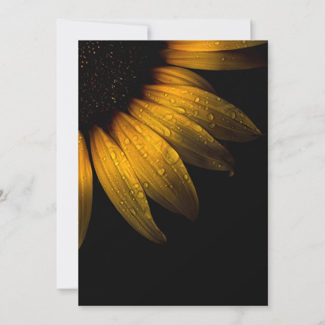 Flores de patio trasero 28 girasol (Anverso)