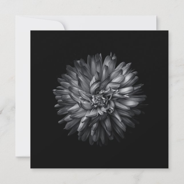 Flores De Patio Trasero En Blanco Y Negro 20 (Anverso)