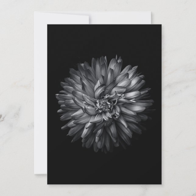 Flores De Patio Trasero En Blanco Y Negro 20 (Anverso)
