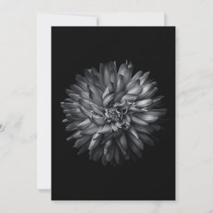 Flores De Patio Trasero En Blanco Y Negro 20