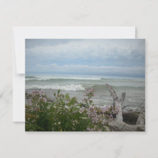 Flores de playa