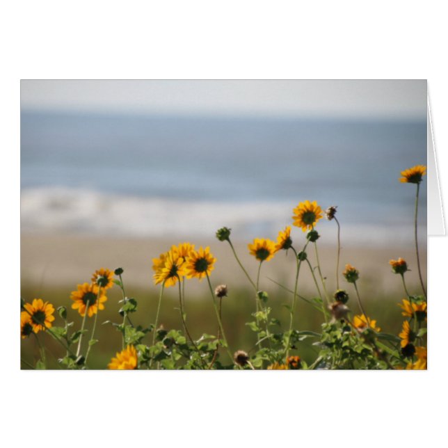 Flores de playa en la isla Galveston (Anverso (Horizontal))