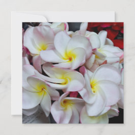 Flores de Plumeria de Bordes Rosados – Nota Floral
