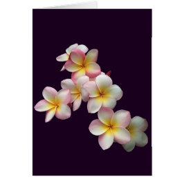 Flores de plumeria en morado oscuro