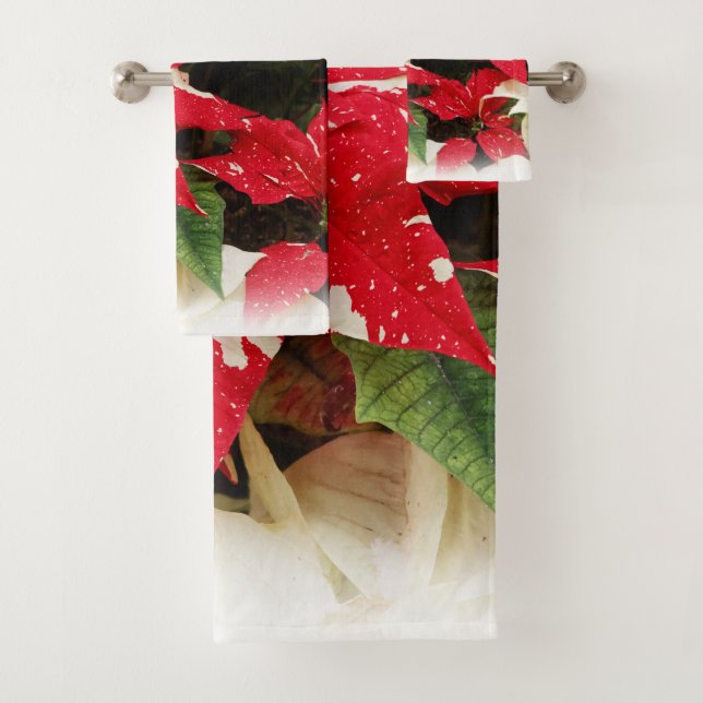 Flores de Poinsettia floral blanca y roja festiva (In situ)