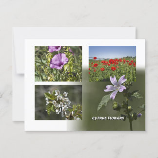 Flores de postal de Chipre
