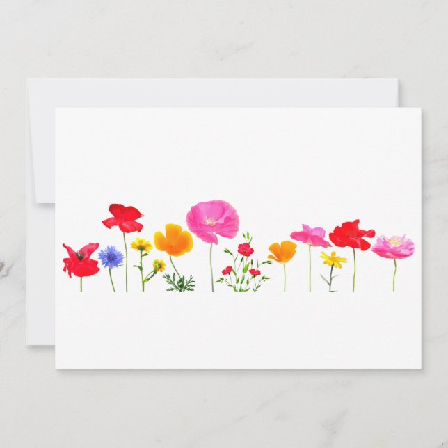 flores de pradera silvestres (Anverso)