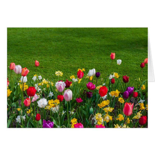 Flores de primavera (Anverso (Horizontal))