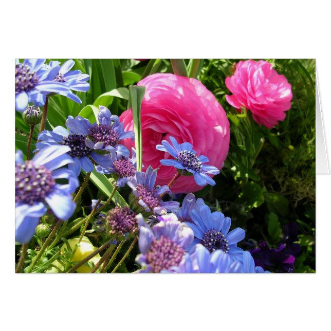 Flores de primavera (Anverso (Horizontal))