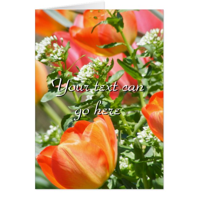 Flores de primavera (Frente)