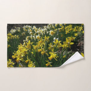Flores de primavera de los Daffodils amarillos y b