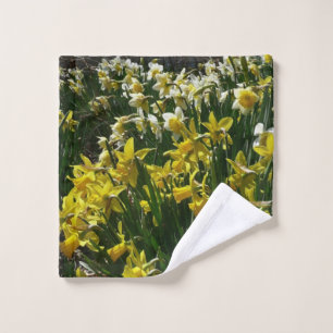 Flores de primavera de los Daffodils amarillos y b