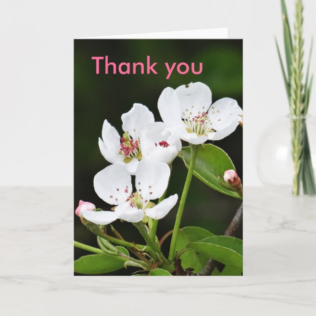 Flores de primavera de tarjetas de felicitación (Anverso)
