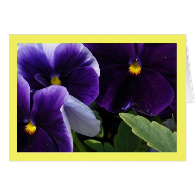 Flores de primavera I (Anverso (Horizontal))