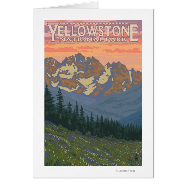 Flores de primavera - Parque nacional Yellowstone (Frente)