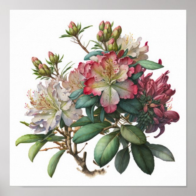 Flores de Rhododendron Rosado Arte Impreso Poster (Frente)